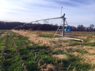 Kalamazoo County, Michigan Farmland - VIRTUAL REAL ESTATE & PERSONAL PROPERTY AUCTIONS - 69+/- ACRES IN 2 TRACTS IN KALAMAZOO COUNTY, MICHIGAN