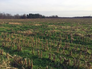 Kalamazoo County, Michigan Farmland - VIRTUAL REAL ESTATE & PERSONAL PROPERTY AUCTIONS - 69+/- ACRES IN 2 TRACTS IN KALAMAZOO COUNTY, MICHIGAN