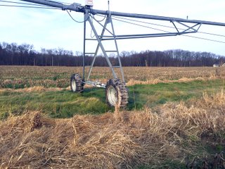 Kalamazoo County, Michigan Farmland - VIRTUAL REAL ESTATE & PERSONAL PROPERTY AUCTIONS - 69+/- ACRES IN 2 TRACTS IN KALAMAZOO COUNTY, MICHIGAN