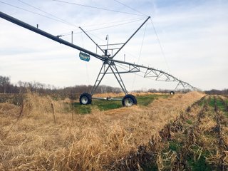 Kalamazoo County, Michigan Farmland - VIRTUAL REAL ESTATE & PERSONAL PROPERTY AUCTIONS - 69+/- ACRES IN 2 TRACTS IN KALAMAZOO COUNTY, MICHIGAN
