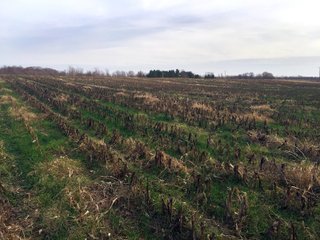 Kalamazoo County, Michigan Farmland - VIRTUAL REAL ESTATE & PERSONAL PROPERTY AUCTIONS - 69+/- ACRES IN 2 TRACTS IN KALAMAZOO COUNTY, MICHIGAN