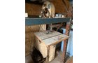 Property photo 54 - ONLINE ONLY PERSONAL PROPERTY AUCTION IN ALLEN COUNTY, INDIANA