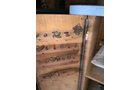 Property photo 52 - ONLINE ONLY PERSONAL PROPERTY AUCTION IN ALLEN COUNTY, INDIANA