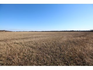 Tract 10 - Labette County, Kansas farmland - LAND AUCTION - 1,061+/- ACRES OFFERED IN 15 TRACTS IN MONTGOMERY & LABETTE COUNTIES, KANSAS