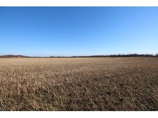 Tract 10 - Labette County, Kansas farmland - LAND AUCTION - 1,061+/- ACRES OFFERED IN 15 TRACTS IN MONTGOMERY & LABETTE COUNTIES, KANSAS