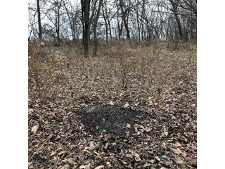 Tract 10 - Labette County, Kansas farmland - LAND AUCTION - 1,061+/- ACRES OFFERED IN 15 TRACTS IN MONTGOMERY & LABETTE COUNTIES, KANSAS