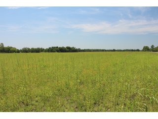 Tract 11 - Labette County, Kansas farmland - LAND AUCTION - 1,061+/- ACRES OFFERED IN 15 TRACTS IN MONTGOMERY & LABETTE COUNTIES, KANSAS