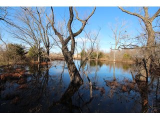 Tract 11 in Labette County, Kansas Pond - LAND AUCTION - 1,061+/- ACRES OFFERED IN 15 TRACTS IN MONTGOMERY & LABETTE COUNTIES, KANSAS