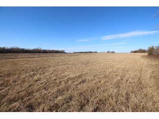 Tract 11 - Labette County, Kansas farmland - LAND AUCTION - 1,061+/- ACRES OFFERED IN 15 TRACTS IN MONTGOMERY & LABETTE COUNTIES, KANSAS