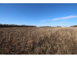 Tract 11 - Labette County, Kansas farmland - LAND AUCTION - 1,061+/- ACRES OFFERED IN 15 TRACTS IN MONTGOMERY & LABETTE COUNTIES, KANSAS