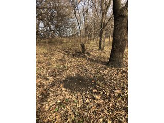 Tract 11 - Labette County, Kansas farmland - LAND AUCTION - 1,061+/- ACRES OFFERED IN 15 TRACTS IN MONTGOMERY & LABETTE COUNTIES, KANSAS