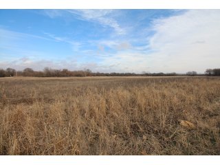 Tract 12 - Labette County, Kansas farmland - LAND AUCTION - 1,061+/- ACRES OFFERED IN 15 TRACTS IN MONTGOMERY & LABETTE COUNTIES, KANSAS