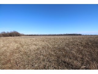 Tract 12 - Labette County, Kansas farmland - LAND AUCTION - 1,061+/- ACRES OFFERED IN 15 TRACTS IN MONTGOMERY & LABETTE COUNTIES, KANSAS