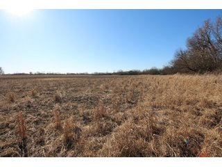 Tract 12 - Labette County, Kansas farmland - LAND AUCTION - 1,061+/- ACRES OFFERED IN 15 TRACTS IN MONTGOMERY & LABETTE COUNTIES, KANSAS