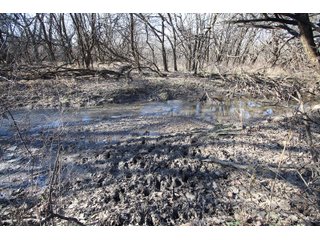 Tract 12 - Labette County, Kansas Pond - LAND AUCTION - 1,061+/- ACRES OFFERED IN 15 TRACTS IN MONTGOMERY & LABETTE COUNTIES, KANSAS