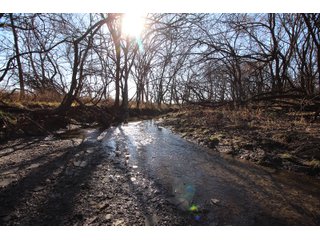 Tract 12 - Labette County, Kansas Pond - LAND AUCTION - 1,061+/- ACRES OFFERED IN 15 TRACTS IN MONTGOMERY & LABETTE COUNTIES, KANSAS