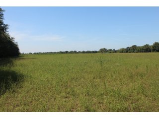 Tract 14 - Labette County, Kansas farmland - LAND AUCTION - 1,061+/- ACRES OFFERED IN 15 TRACTS IN MONTGOMERY & LABETTE COUNTIES, KANSAS