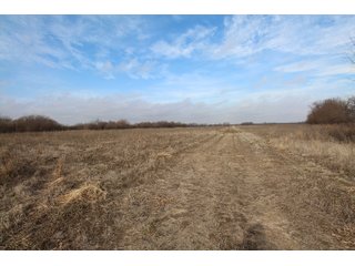 Tract 14 - Labette County, Kansas farmland - LAND AUCTION - 1,061+/- ACRES OFFERED IN 15 TRACTS IN MONTGOMERY & LABETTE COUNTIES, KANSAS