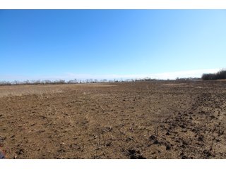 Tract 14 - Labette County, Kansas farmland - LAND AUCTION - 1,061+/- ACRES OFFERED IN 15 TRACTS IN MONTGOMERY & LABETTE COUNTIES, KANSAS