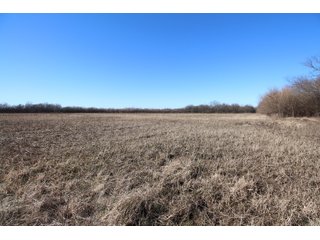 Tract 14 - Labette County, Kansas farmland - LAND AUCTION - 1,061+/- ACRES OFFERED IN 15 TRACTS IN MONTGOMERY & LABETTE COUNTIES, KANSAS