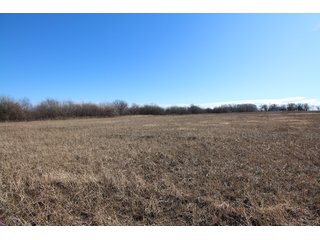Tract 14 - Labette County, Kansas farmland - LAND AUCTION - 1,061+/- ACRES OFFERED IN 15 TRACTS IN MONTGOMERY & LABETTE COUNTIES, KANSAS