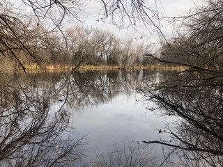 Tract 13 - Labette County, Kansas Pond - LAND AUCTION - 1,061+/- ACRES OFFERED IN 15 TRACTS IN MONTGOMERY & LABETTE COUNTIES, KANSAS