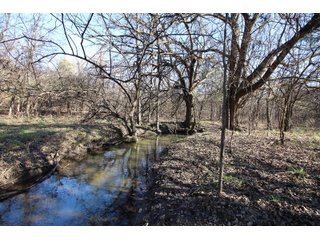 Tract 13 - Labette County, Kansas Woods - LAND AUCTION - 1,061+/- ACRES OFFERED IN 15 TRACTS IN MONTGOMERY & LABETTE COUNTIES, KANSAS