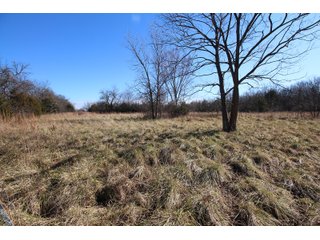 Tract 13 - Labette County, Kansas Farmland - LAND AUCTION - 1,061+/- ACRES OFFERED IN 15 TRACTS IN MONTGOMERY & LABETTE COUNTIES, KANSAS