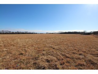 Tract 13 - Labette County, Kansas Farmland - LAND AUCTION - 1,061+/- ACRES OFFERED IN 15 TRACTS IN MONTGOMERY & LABETTE COUNTIES, KANSAS