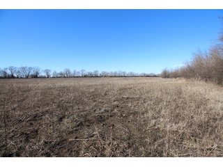Tract 13 - Labette County, Kansas Farmland - LAND AUCTION - 1,061+/- ACRES OFFERED IN 15 TRACTS IN MONTGOMERY & LABETTE COUNTIES, KANSAS