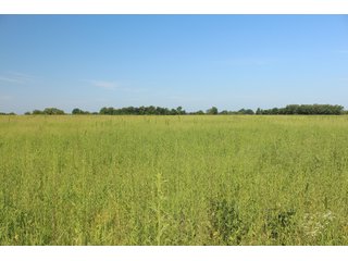 Tract 15 - Labette County, Kansas Farmland - LAND AUCTION - 1,061+/- ACRES OFFERED IN 15 TRACTS IN MONTGOMERY & LABETTE COUNTIES, KANSAS
