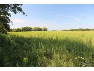 Tract 15 - Labette County, Kansas Farmland - LAND AUCTION - 1,061+/- ACRES OFFERED IN 15 TRACTS IN MONTGOMERY & LABETTE COUNTIES, KANSAS