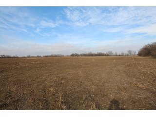 Tract 15 - Labette County, Kansas Farmland - LAND AUCTION - 1,061+/- ACRES OFFERED IN 15 TRACTS IN MONTGOMERY & LABETTE COUNTIES, KANSAS