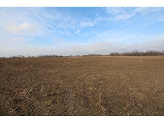 Tract 15 - Labette County, Kansas Farmland - LAND AUCTION - 1,061+/- ACRES OFFERED IN 15 TRACTS IN MONTGOMERY & LABETTE COUNTIES, KANSAS