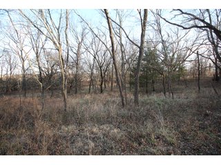 Tract 2 - Montgomery County, Kansas Woods - LAND AUCTION - 1,061+/- ACRES OFFERED IN 15 TRACTS IN MONTGOMERY & LABETTE COUNTIES, KANSAS
