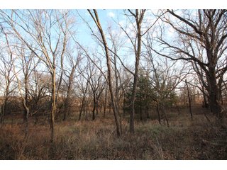 Tract 2 - Montgomery County, Kansas Woods - LAND AUCTION - 1,061+/- ACRES OFFERED IN 15 TRACTS IN MONTGOMERY & LABETTE COUNTIES, KANSAS
