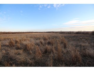 Tract 2 - Montgomery County, Kansas Farmland - LAND AUCTION - 1,061+/- ACRES OFFERED IN 15 TRACTS IN MONTGOMERY & LABETTE COUNTIES, KANSAS
