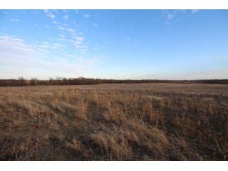 Tract 3 - Montgomery County, Kansas Farmland - LAND AUCTION - 1,061+/- ACRES OFFERED IN 15 TRACTS IN MONTGOMERY & LABETTE COUNTIES, KANSAS