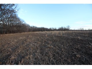 Tract 3 - Montgomery County, Kansas Farmland - LAND AUCTION - 1,061+/- ACRES OFFERED IN 15 TRACTS IN MONTGOMERY & LABETTE COUNTIES, KANSAS