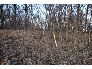 Tract 3 - Montgomery County, Kansas Woods - LAND AUCTION - 1,061+/- ACRES OFFERED IN 15 TRACTS IN MONTGOMERY & LABETTE COUNTIES, KANSAS