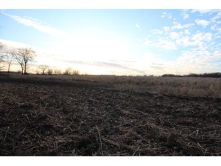 Tract 3 - Montgomery County, Kansas Farmland - LAND AUCTION - 1,061+/- ACRES OFFERED IN 15 TRACTS IN MONTGOMERY & LABETTE COUNTIES, KANSAS
