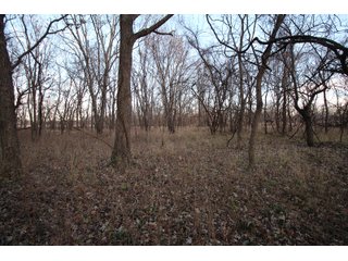 Tract 3 - Montgomery County, Kansas Woods - LAND AUCTION - 1,061+/- ACRES OFFERED IN 15 TRACTS IN MONTGOMERY & LABETTE COUNTIES, KANSAS