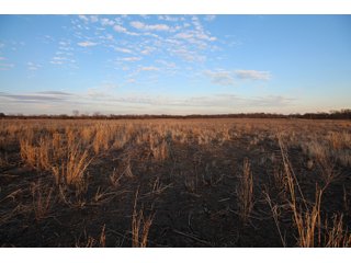 Tract 4 - Montgomery County, Kansas Farmland - LAND AUCTION - 1,061+/- ACRES OFFERED IN 15 TRACTS IN MONTGOMERY & LABETTE COUNTIES, KANSAS