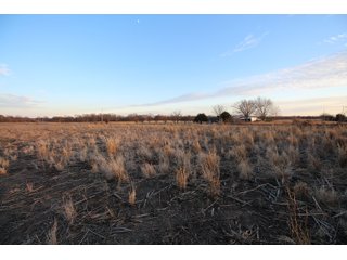Tract 4 - Montgomery County, Kansas Farmland - LAND AUCTION - 1,061+/- ACRES OFFERED IN 15 TRACTS IN MONTGOMERY & LABETTE COUNTIES, KANSAS