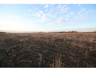 Tract 5 - Montgomery County, Kansas Farmland - LAND AUCTION - 1,061+/- ACRES OFFERED IN 15 TRACTS IN MONTGOMERY & LABETTE COUNTIES, KANSAS