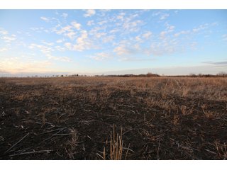 Tract 5 - Montgomery County, Kansas Farmland - LAND AUCTION - 1,061+/- ACRES OFFERED IN 15 TRACTS IN MONTGOMERY & LABETTE COUNTIES, KANSAS