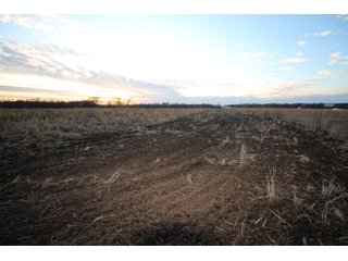 Tract 6 - Montgomery County, Kansas Farmland - LAND AUCTION - 1,061+/- ACRES OFFERED IN 15 TRACTS IN MONTGOMERY & LABETTE COUNTIES, KANSAS
