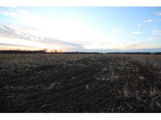 Tract 6 - Montgomery County, Kansas Farmland - LAND AUCTION - 1,061+/- ACRES OFFERED IN 15 TRACTS IN MONTGOMERY & LABETTE COUNTIES, KANSAS