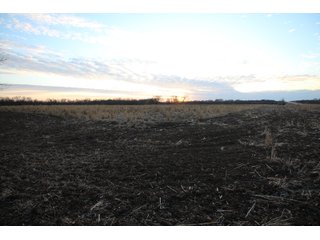 Tract 6 - Montgomery County, Kansas Farmland - LAND AUCTION - 1,061+/- ACRES OFFERED IN 15 TRACTS IN MONTGOMERY & LABETTE COUNTIES, KANSAS