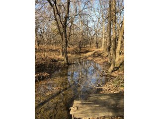 Tract 7 - Montgomery County, Kansas Woods - LAND AUCTION - 1,061+/- ACRES OFFERED IN 15 TRACTS IN MONTGOMERY & LABETTE COUNTIES, KANSAS